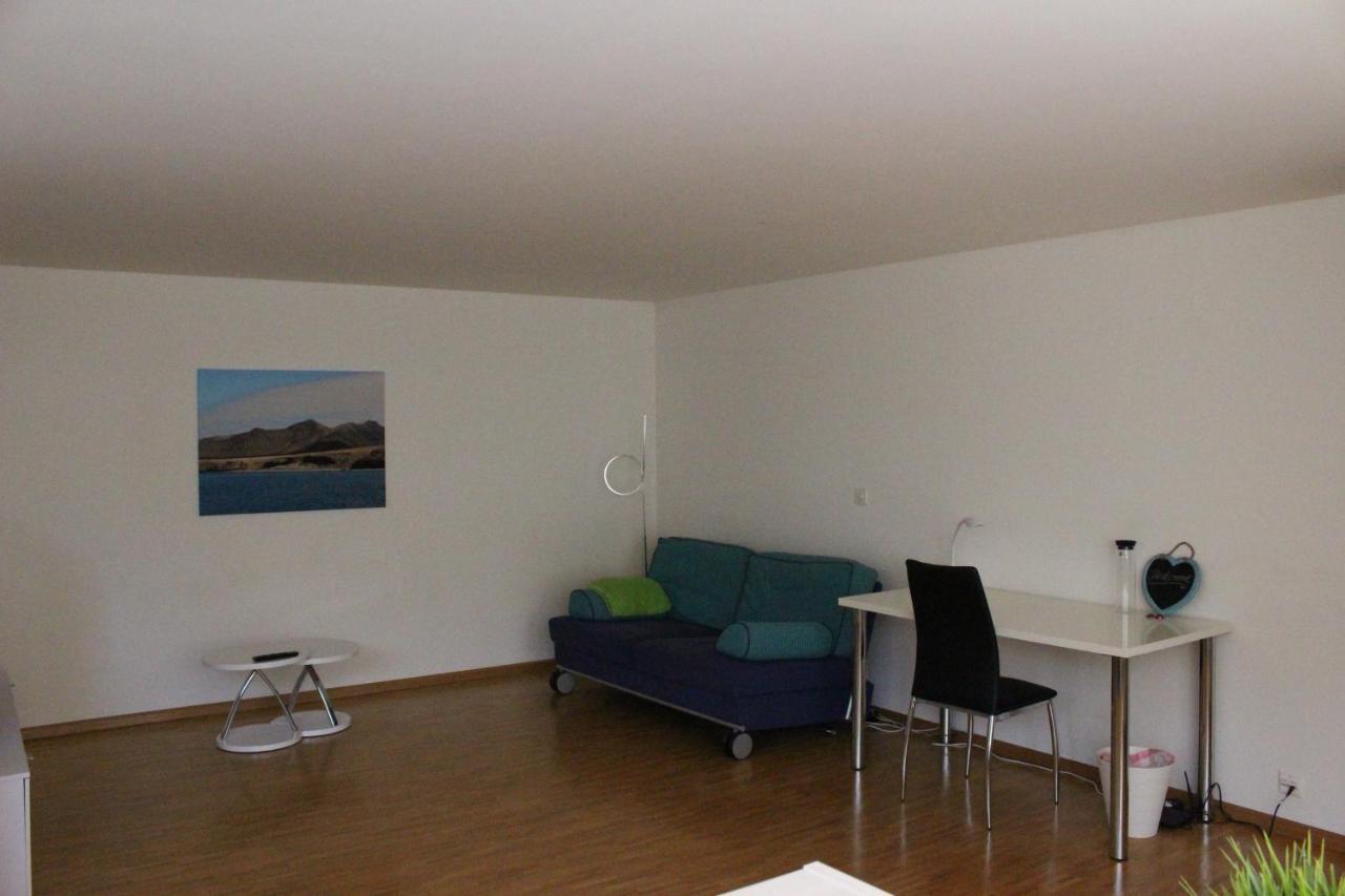 A Casa Fina- A Modern Room Close To Basel Therwil Dış mekan fotoğraf