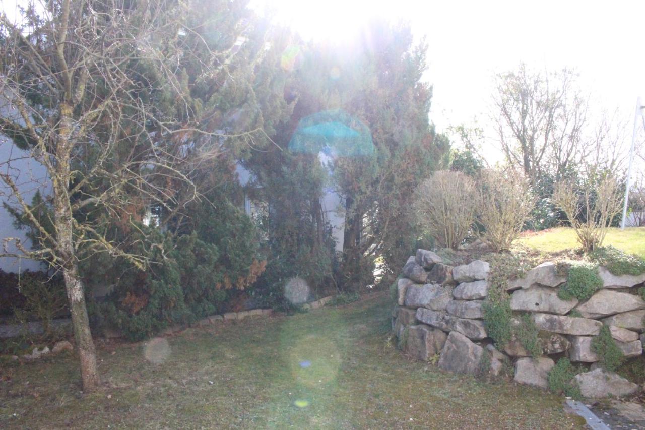 A Casa Fina- A Modern Room Close To Basel Therwil Dış mekan fotoğraf